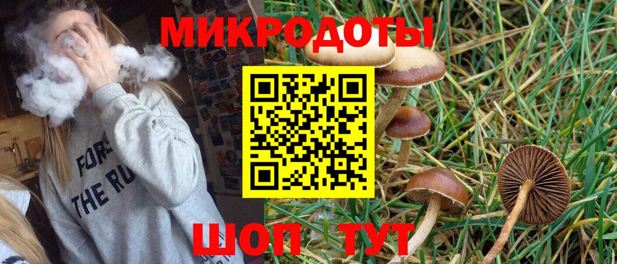 Галлюциногенные грибы Cubensis Курчатов